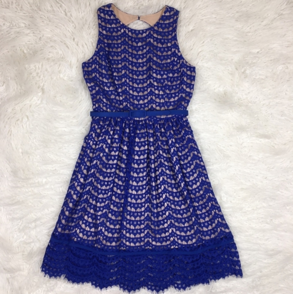 Eliza J Blue Lace Cobolt Blue Fit Flare Dress 14 - Picture 3 of 14